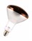 Лампа PHILIPS  IR150RH  BR125 E27 230-250V d125x181 красная - 923211843801 - фото 53757