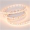 Лента MICROLED-5000 24V Warm3000 8mm (2216, 300 LED/m, LUX) (arlight, 8 Вт/м, IP20) 023559(2) - фото 56792
