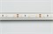 Лента RT 2-5000 12V Day White (3528, 300LED, CRI98) Arlight 021419-1 - фото 60276