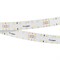Лента RT 2-4700 24V Warm3000 20mm (2835, 140 LED/m, LUX) (arlight, 21.6 Вт/м, IP20) 028005 - фото 61430