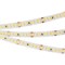 Лента RT 2-5000 24V Day4000 3x (2835, 840 LED, LUX) (arlight, 17 Вт/м, IP20) 019094(B)-1 - фото 67109