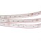 Лента RTW 2-5000PS 24V RGB 2x (5060, 300 LED, LUX) (arlight, 14.4 Вт/м, IP67) 021400 - фото 69731