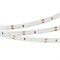 Лента RT 2-5000 12V Cool 8K (3528, 300 LED, LUX) (arlight, 4.8 Вт/м, IP20) 014884(B) - фото 73499