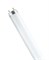 Лампа LightBest BL 20W T8 G13 355-385nm L=590mm (в ловушки насекомых) - 700909003 - фото 74862