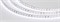 Светодиодная лента RT 2-5000-50m 24V White6000 2x (3528, 120 LED/m, LUX) (arlight, 9.6 Вт/м, IP20) 024568(1) - фото 84824
