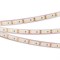 Лента герметичная RTW-PFS-A120-11mm 12V White6000 (9.6 W/m, IP68, 2835, 5m) (arlight, -) 033784 - фото 85005