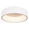 Светильник SP-TOR-RING-SURFACE-R460-33W Warm3000 (WH, 120 deg) (Arlight, IP20 Металл, 3 года) 022135(1) - фото 85572