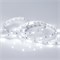 Светодиодная лента RT 2-5000 12V White6000 (5060, 150 LED, LUX) (Arlight, 7.2 Вт/м, IP20) 010595(B) - фото 87578
