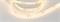 Светодиодная лента герметичная RTW-SE-A120-8mm 24V Warm3000 (9.6 W/m, IP65, 2835, 5m) (Arlight, -) 014679(2) - фото 88540