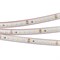 Лента герметичная RTW-PS-A120-10mm 24V Day4000 (9.6 W/m, IP67, 2835, 50m) (Arlight, 9.6 Вт/м, IP67) 024576(2) - фото 89489