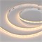 Лента COB-X360-8mm 5V Warm2700 (5 W/m, IP20, CSP, 5m) (Arlight, -) 041706 - фото 89643