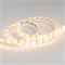 Лента RTW 2-5000SE 12V Warm (3528, 300 LED, LUX) (Arlight, 4.8 Вт/м, IP65) 014795 - фото 90079