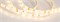 Лента RTW 2-5000SE 12V Warm (3528, 300 LED, LUX) (Arlight, 4.8 Вт/м, IP65) 014795 - фото 90080