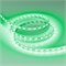 Лента RT-B60-10mm 12V Green (14.4 W/m, IP20, 5060, 5m) (Arlight, 14.4 Вт/м, IP20) 012337(2) - фото 90456