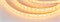 Лента RTW 2-5000PGS 24V Yellow 2x (5060, 300 LED, LUX) (Arlight, 14.4 Вт/м, IP67) 014019-1 - фото 90488