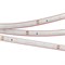 Лента RTW 2-5000PS-50m 24V Warm3000 (3528, 60 LED/m, LUX) (Arlight, 4.8 Вт/м, IP67) 024565 - фото 90975