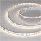 Светодиодная лента RT-A160-8mm 24V Day4000 (12 W/m, IP20, 2835, 5m) (Arlight, высок.эфф.150 лм/Вт) 024537(2) - фото 91004