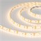 Лента герметичная RTW-SE-A120-8mm 12V Warm3000 (9.6 W/m, IP65, 2835, 5m) (Arlight, -) 015730(3) - фото 91235