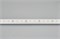 Лента MICROLED-5000HP 24V White5500 8mm (2216, 120 LED/m, LUX) (Arlight, 14 Вт/м, IP20) 024426 - фото 91388