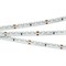 Лента RS 2-5000 24V Day5000 2x (3014, 120 LED/m, LUX) (Arlight, 9.6 Вт/м, IP20) 024458 - фото 91474