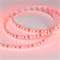 Лента RT-A120-8mm 12V Red (9.6 W/m, IP20, 2835, 5m) (Arlight, 9.6 Вт/м, IP20) 012329(2) - фото 91482