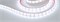 Лента RTW 2-5000PGS 12V Cool 2x (5060, 300 LED, LUX) (Arlight, 14.4 Вт/м, IP67) 016844-1 - фото 91571