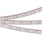 Лента RSW 2-5000P 12V White6000 2x (3014, 120 LED/m, LUX) (Arlight, 9.6 Вт/м, IP66) 027040 - фото 91725