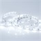 Лента RT 2-5000 12V Cool 8K (5060, 150 LED, LUX) (Arlight, 7.2 Вт/м, IP20) 016890-1 - фото 91858