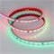 Лента герметичная DMX-PFS-B60-12mm 24V RGB-PX6 (14 W/m, IP68, 5060, 5m) (Arlight, -) 039608 - фото 92015