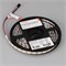 Лента SPI-B60-10mm 12V Warm2700-PX1-RAM (9.3 W/m, IP20, 5060, 5m) (Arlight, бегущий огонь) 033438 - фото 92084