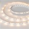 Лента RT-B30-10mm 12V Warm2700 (7.2 W/m, IP20, 5060, 5m) (Arlight, 7.2 Вт/м, IP20) 010594(2) - фото 92400