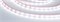 Лента RTW 2-5000PS-50m 24V White6000 (3528, 60 LED/m, LUX) (Arlight, 4.8 Вт/м, IP67) 024562 - фото 92568