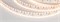 Лента RS 2-5000 24V Warm3000 2x2 15mm (3014, 240 LED/m, LUX) (Arlight, 19.2 Вт/м, IP20) 024471 - фото 92634