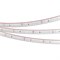 Лента RTW-5000PS-3528-60-12V Blue (11mm, 4.8W, IP67) (Arlight, -) 032839 - фото 92964