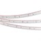 Лента RTW-5000PS-3528-60-12V Blue (11mm, 4.8W, IP67) (Arlight, -) 032839 - фото 92965