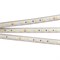 Лента RTW 2-5000PS 24V White6000 2x (5060, 300 LED, LUX) (Arlight, 14.4 Вт/м, IP67) 021399 - фото 93035