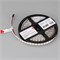 Лента SPI-B96-10mm 12V RGB-PX1-BPT (13 W/m, IP20, 5060, 5m) (Arlight, Открытый) 037868 - фото 93081