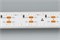 Лента RS 2-5000 24V Day4000 2x2 15mm (3014, 240 LED/m, LUX) (Arlight, 19.2 Вт/м, IP20) 024470 - фото 93474