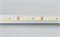 Лента RT 2-5000-50m 24V Day4000 2x (2835, 160 LED/m, LUX) (Arlight, 12 Вт/м, IP20) 024552 - фото 93765