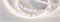 Лента MICROLED-5000HP 24V Day4000 8mm (2216, 120 LED/m, LUX) (Arlight, 14 Вт/м, IP20) 024429 - фото 93868
