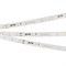 Лента RT-20000 24V White5500 (3528, 60 LED/m, 20m) (Arlight, 4.8 Вт/м, IP20) 025010 - фото 94126