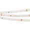Лента RT 2-5000 24V Day4000 (2835, 300 LED, PRO) (Arlight, 7.2 Вт/м, IP20) 020012(B) - фото 94949