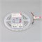 Лента NT-A120-8mm 12V Warm3000 (9.6 W/m, IP20, 3528, 5m) (Arlight, 9.6 Вт/м, IP20) 035741 - фото 95085