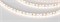 Лента RS-DUAL-S240-8mm 24V Warm3000 (14.4 W/m, IP20, 3014, 5m) (Arlight, боковое свечение) 024466(2) - фото 95110