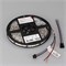 Лента герметичная DMX-SE-B60-10mm 12V RGB-PX3 (14 W/m, IP65, 5060, 5m) (Arlight, -) 039604 - фото 95129