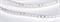 Лента RT 2-5000 24V White6000 2x (3528, 600 LED, LUX) (Arlight, 9.6 Вт/м, IP20) 010347(B) - фото 95287
