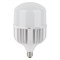 Лампа светодиодная OSRAM LED HW T, 6500лм, 65Вт (замена 650Вт), 6500К (холодный белый свет). Цоколь E27/E40, колба T, угол пучка 200°. Исполнение колбы матовое, алюминий. Напряжение питания 140-265В. 4099854121579 - фото 95530