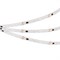 Лента SPI-BA120-12mm 24V RGBW-White-PX6-BPT (16 W/m, IP20, 5060/2835, 5m) (Arlight, бегущий огонь) 040622 - фото 95537