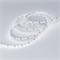 Лента MICROLED-5000L 24V White5500 4mm (2216, 120 LED/m, LUX) (Arlight, 5.4 Вт/м, IP20) 024418 - фото 95563