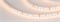 Лента MICROLED-5000L 24V Warm3000 8mm (2216, 120 LED/m, LUX) (Arlight, 6.5 Вт/м, IP20) 024438 - фото 95708